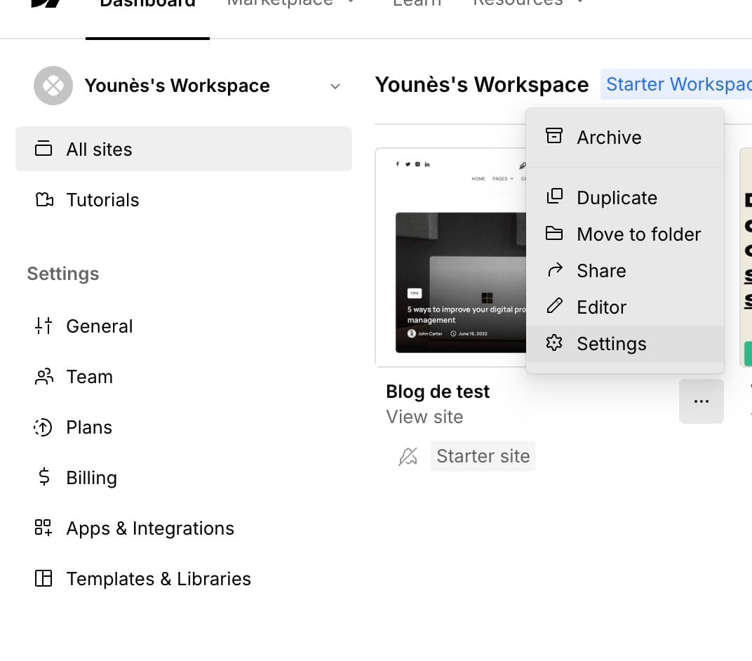 Webflow Site Settings